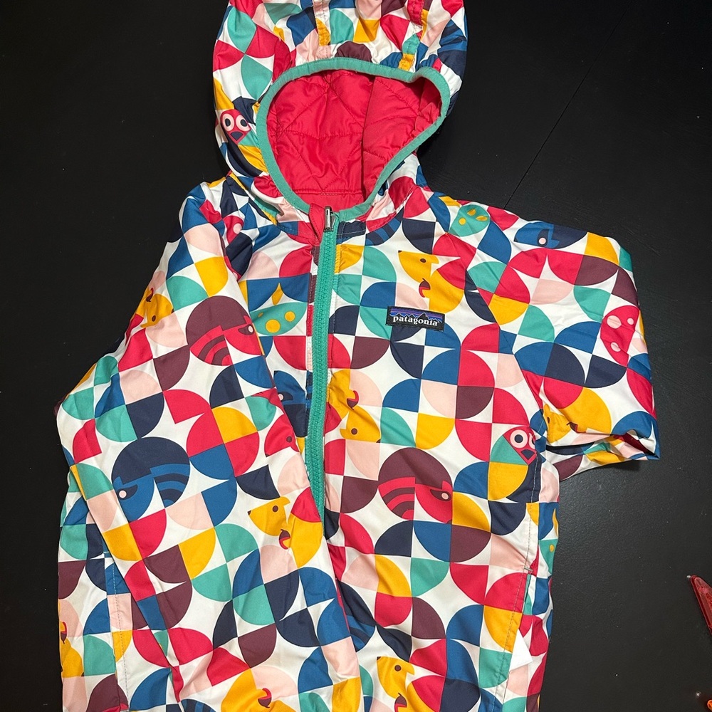 Patagonia Multicolor Geometric Jacket